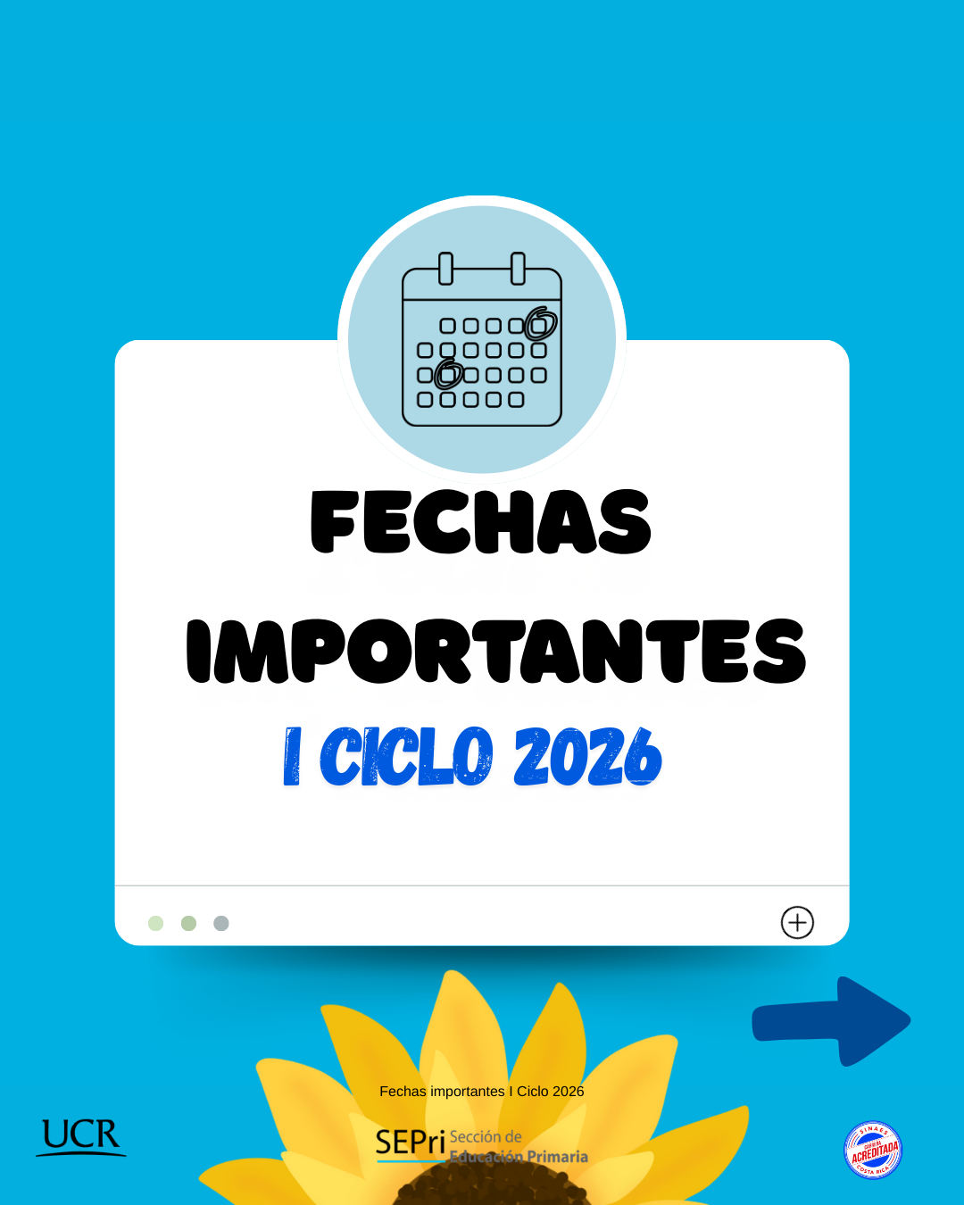 fechas i ciclo